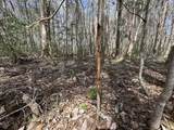 Tract#6409 Davis Road - Photo 9