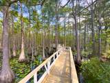 Lot 162 Gulf Walk - Photo 56