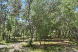 1403 Old Oak Trail - Photo 17