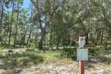1403 Old Oak Trail - Photo 41