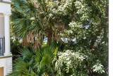 159 Brooks Street - Photo 22