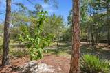 313 Morgans Trail - Photo 43
