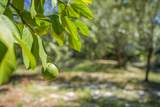313 Morgans Trail - Photo 44