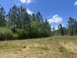 13325 Us Highway 331 - Photo 6