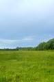 32 acres Williams Road - Photo 1