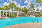 177 Catface Drive - Photo 46
