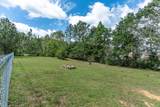 6100 Buck Ward Road - Photo 11