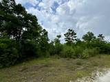 Lot 12 Grassy Pond Road - Photo 8