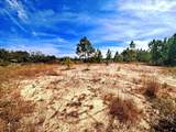 2604 San Antonio Drive - Photo 43