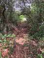 2847 Us Highway 98 - Photo 15