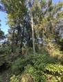 TBD Lester Price Road - Photo 5