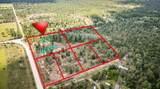 1438 Lake Lillian Road - Photo 8