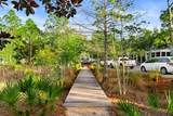 44 Royal Fern Way - Photo 60