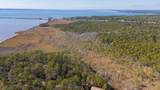 90 Acres Highway 331 S & Jolly Bay Road - Photo 18