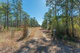 90 Acres Highway 331 S & Jolly Bay Road - Photo 21