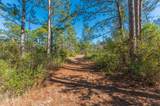 90 Acres Highway 331 S & Jolly Bay Road - Photo 22