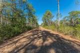 90 Acres Highway 331 S & Jolly Bay Road - Photo 23