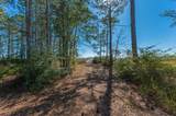 90 Acres Highway 331 S & Jolly Bay Road - Photo 25
