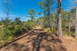 90 Acres Highway 331 S & Jolly Bay Road - Photo 36