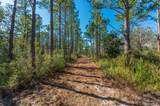 90 Acres Highway 331 S & Jolly Bay Road - Photo 42