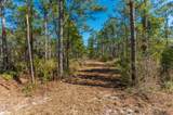 90 Acres Highway 331 S & Jolly Bay Road - Photo 43