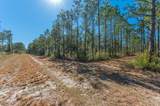 90 Acres Highway 331 S & Jolly Bay Road - Photo 44