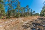 90 Acres Highway 331 S & Jolly Bay Road - Photo 45