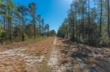 90 Acres Highway 331 S & Jolly Bay Road - Photo 46