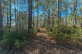 90 Acres Highway 331 S & Jolly Bay Road - Photo 47