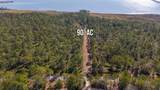 90 Acres Highway 331 S & Jolly Bay Road - Photo 5