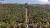 90 Acres Highway 331 S & Jolly Bay Road - Photo 6
