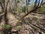Tract#6409 Davis Road - Photo 2