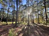 Lot 25 Captain Fritz Way - Photo 9