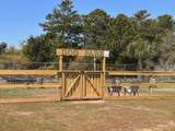 4000 Gulf Terrace Drive - Photo 13
