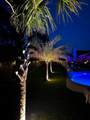 5694 Oak Haven Lane - Photo 8