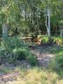 32 acres Williams Road - Photo 2
