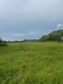 32 acres Williams Road - Photo 3