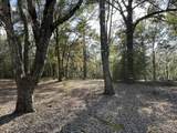 5895 Pineforest Drive - Photo 6
