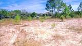 2604 San Antonio Drive - Photo 29
