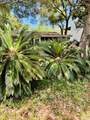 135 Thyme Street - Photo 3