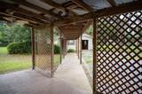3180 Palmetta Avenue - Photo 3