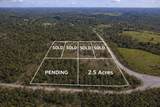 1438 Lake Lillian Road - Photo 4