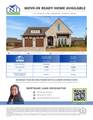 33 Caymus Cove - Photo 70