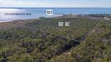 90 Acres Highway 331 S & Jolly Bay Road - Photo 19