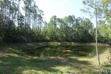 139 Date Palm Lane - Photo 31