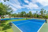 64 Cinnamon Fern Lane - Photo 60
