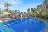 64 Cinnamon Fern Lane - Photo 68