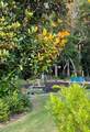 209 Harmony Way - Photo 76