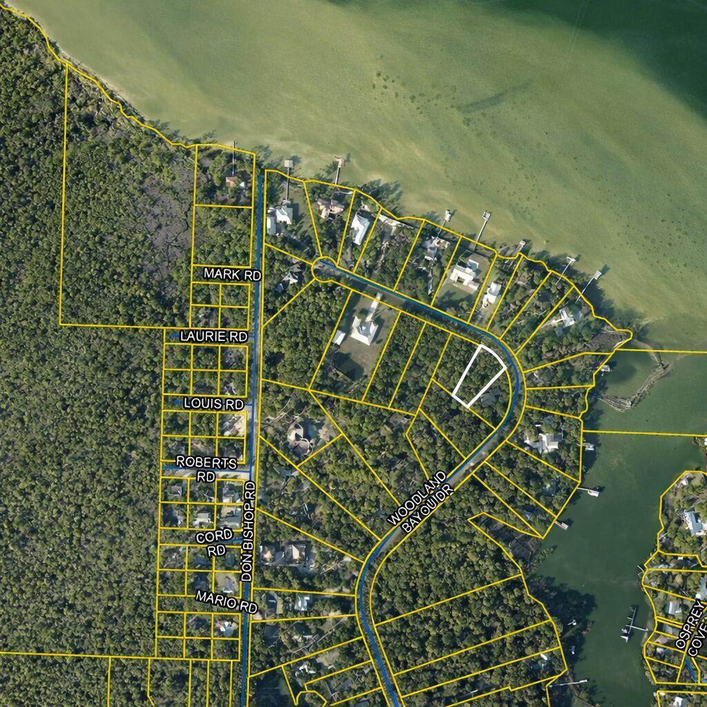 Lot 31B Woodland Bayou Drive - Photo 1