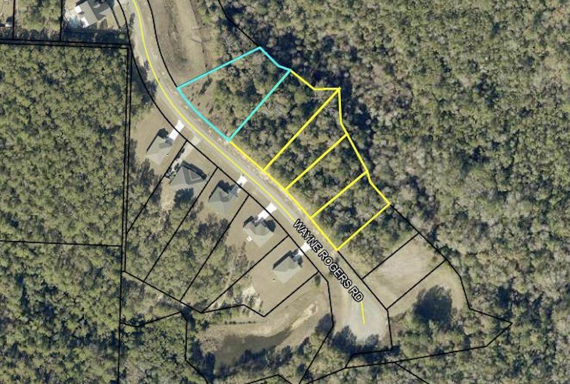 Lot F-1 Wayne Rogers Road - Photo 1